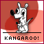 Kangaroo!